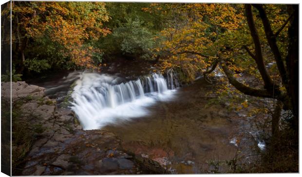 Autumn at Waterfall Country Canvas Print by Leighton Collins