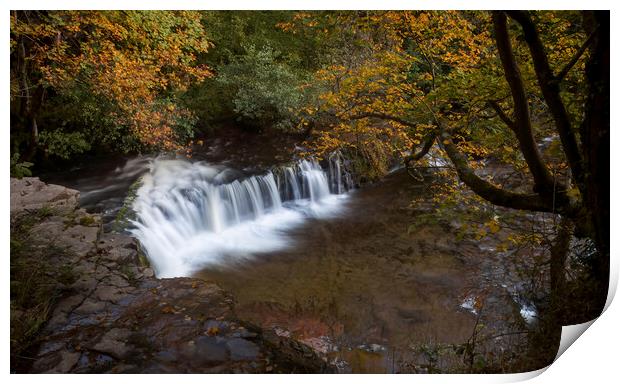 Autumn at Waterfall Country Print by Leighton Collins