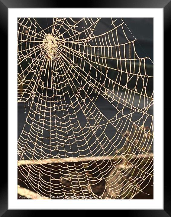 They spun a web for me Framed Mounted Print by Matthew Balls