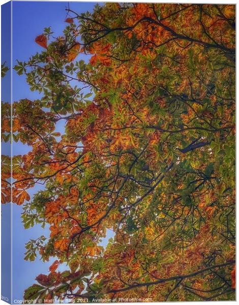 Autumn leaves  Canvas Print by Matthew Balls