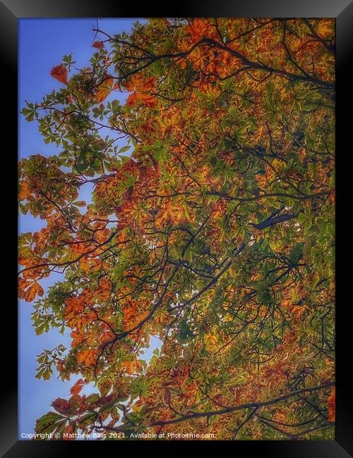 Autumn leaves  Framed Print by Matthew Balls