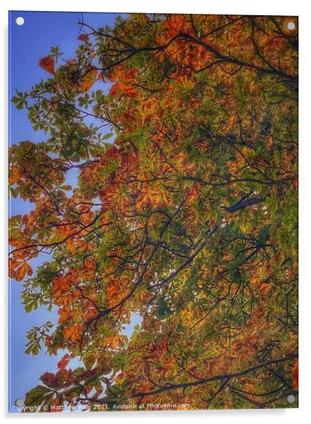 Autumn leaves  Acrylic by Matthew Balls