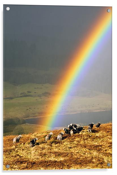 Rainbow Acrylic by Jason Connolly