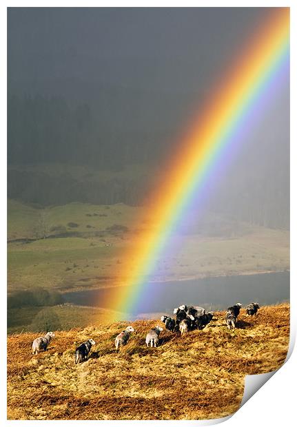 Rainbow Print by Jason Connolly