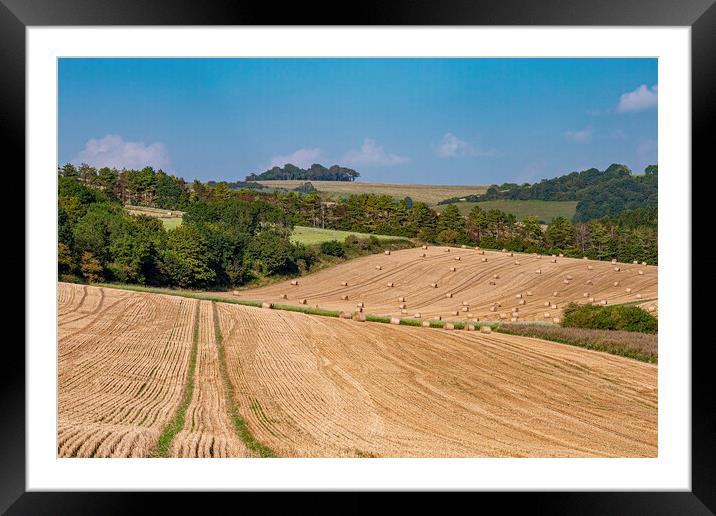 Rolling down from Chanctonbury Framed Mounted Print by Malcolm McHugh