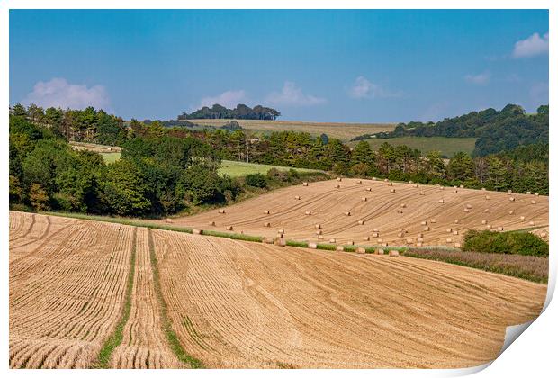 Rolling down from Chanctonbury Print by Malcolm McHugh