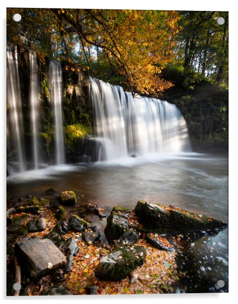 Autumn at Sgwd Ddwli Uchaf waterfall Acrylic by Leighton Collins