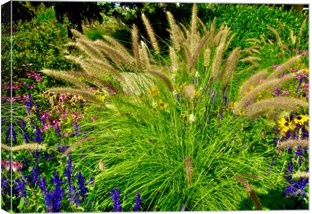 Grass in the garden Canvas Print by Stephanie Moore