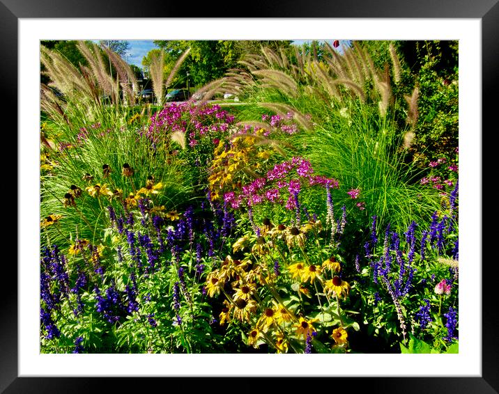 Plant  Framed Mounted Print by Stephanie Moore