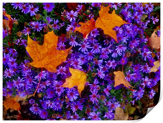 Purple flowers with maple leaves Print by Stephanie Moore