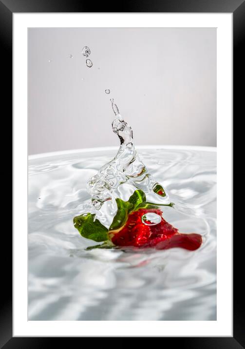 Water Jet After Strawberry Falling Into Water Framed Mounted Print by Antonio Ribeiro