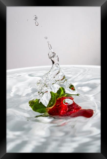Water Jet After Strawberry Falling Into Water Framed Print by Antonio Ribeiro