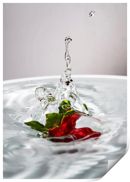 Water Jet After Strawberry Falling Into Water Print by Antonio Ribeiro