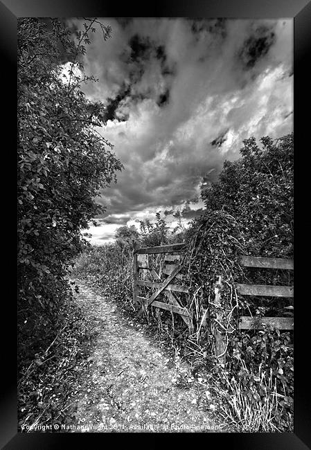 Black and white gate Framed Print by Nathan Wright