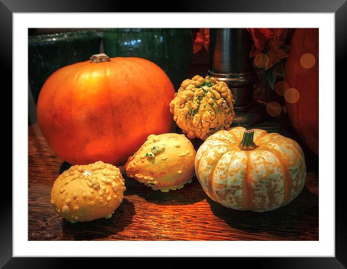Pumpkin Season Framed Mounted Print by Alison Chambers