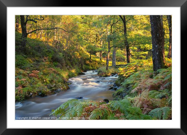 autumn colours Framed Mounted Print by stephen cooper