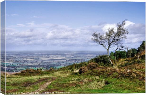 The top of the Wrekin  Shropshire Canvas Print by Diana Mower