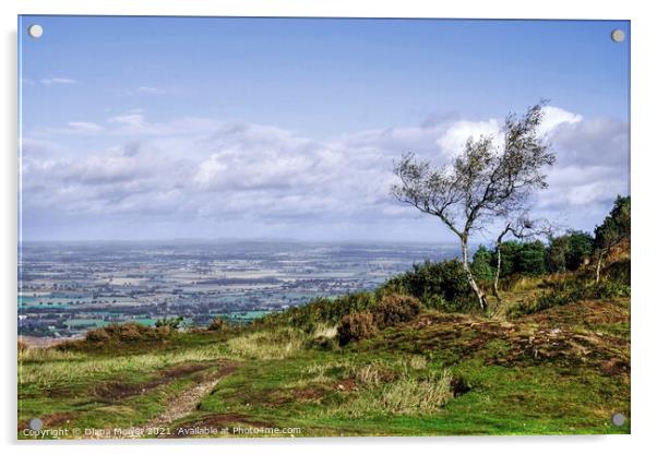 The top of the Wrekin  Shropshire Acrylic by Diana Mower