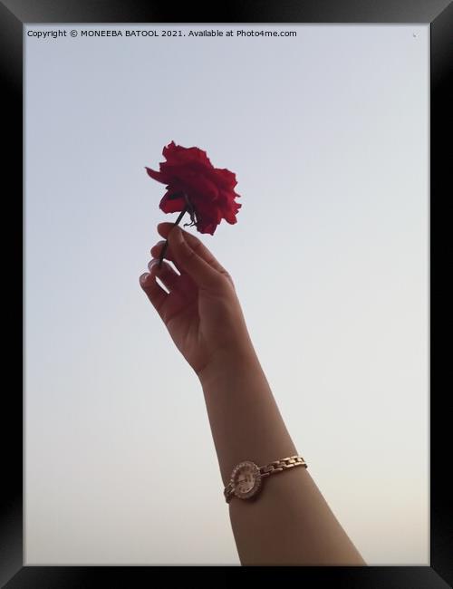 A hand with a Rose Framed Print by MONEEBA BATOOL