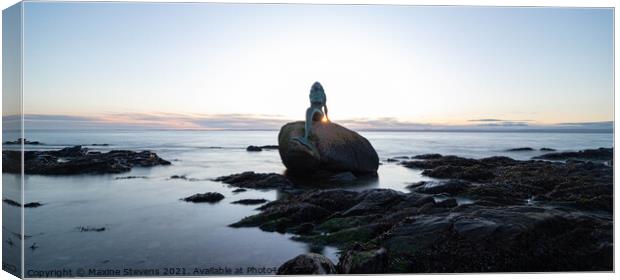 Mermaid of the North at Sunrise Canvas Print by Maxine Stevens