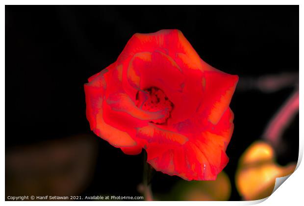 Blur orange rose blossom Print by Hanif Setiawan