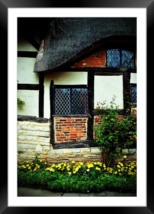 Anne Hathaway's Cottage Shottery Stratford upon Avon Framed Mounted Print by Andy Evans Photos
