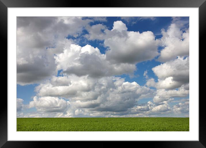 Cumulus Clouds Over Field Framed Mounted Print by Arterra 