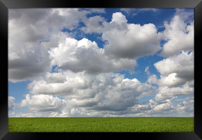 Cumulus Clouds Over Field Framed Print by Arterra 