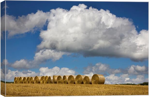 White Clouds over Hay Bales Canvas Print by Arterra 