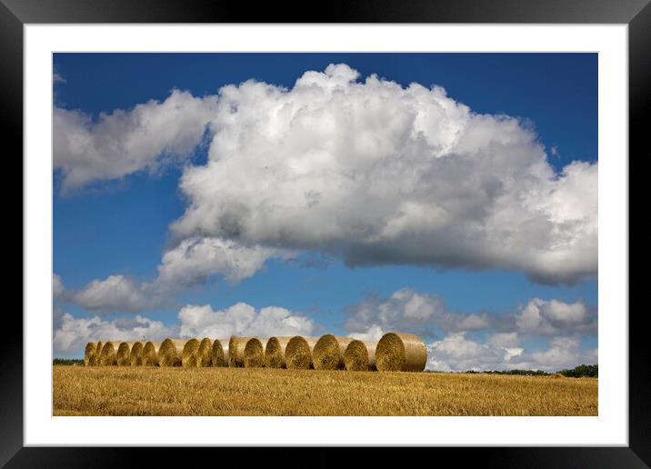 White Clouds over Hay Bales Framed Mounted Print by Arterra 