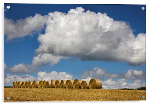 White Clouds over Hay Bales Acrylic by Arterra 