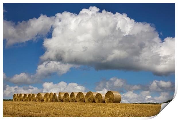 White Clouds over Hay Bales Print by Arterra 