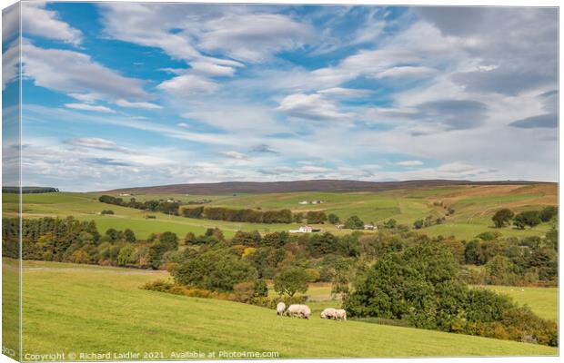 Across to Ettersgill from Hield House, Teesdale in  Mid Autumn Canvas Print by Richard Laidler