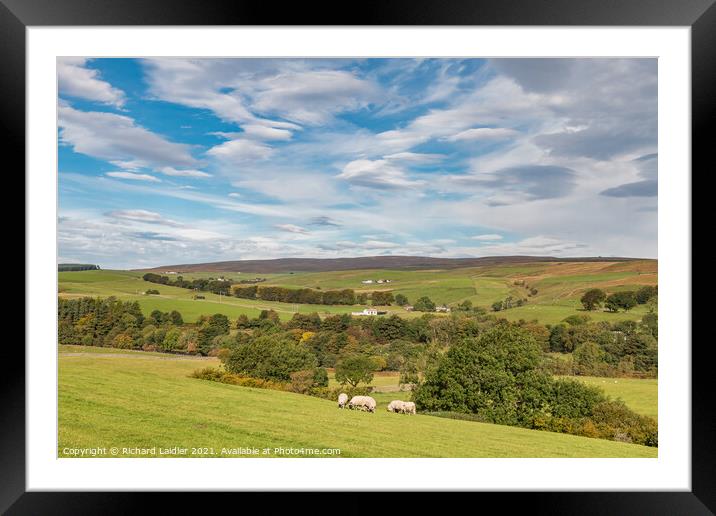 Across to Ettersgill from Hield House, Teesdale in  Mid Autumn Framed Mounted Print by Richard Laidler
