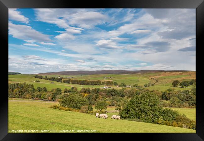 Across to Ettersgill from Hield House, Teesdale in  Mid Autumn Framed Print by Richard Laidler