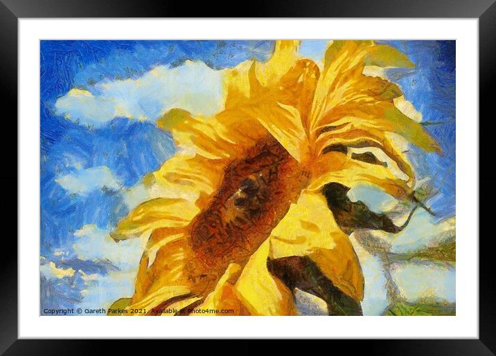 Sun Flower Framed Mounted Print by Gareth Parkes