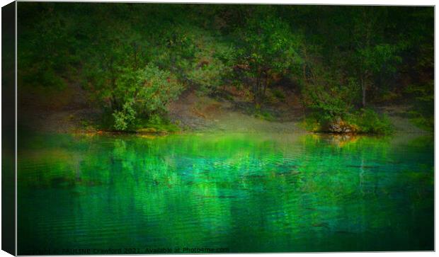 Green lake water with trees in Canmore Alberta Rocky Mountains Canvas Print by PAULINE Crawford