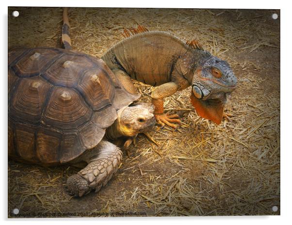 A turtle and Iguana racing through a pile of hay Acrylic by PAULINE Crawford