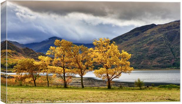 Inverinate Autumn Canvas Print by Chris Drabble