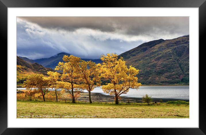 Inverinate Autumn Framed Mounted Print by Chris Drabble