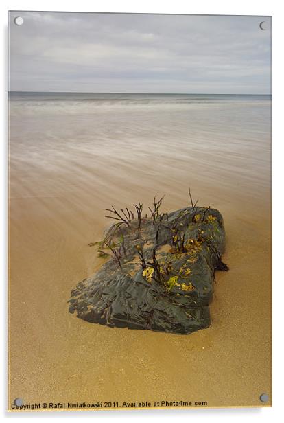 Criccieth beach Acrylic by R K Photography