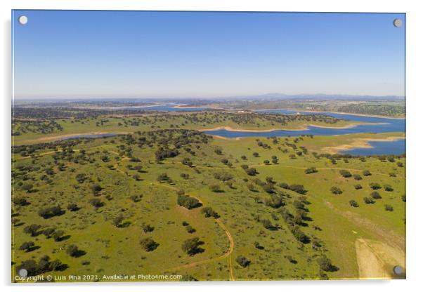 Dam lake reservoir drone aerial view of Barragem do Caia Dam olive trees landscape in Alentejo, Portugal Acrylic by Luis Pina