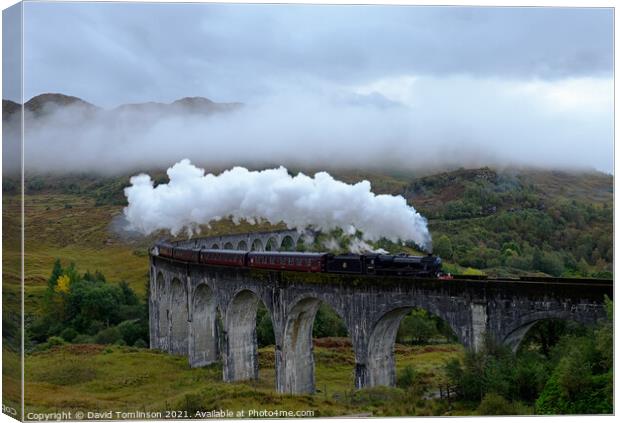 The Jacobite - Glenfinnan Viaduct  Canvas Print by David Tomlinson