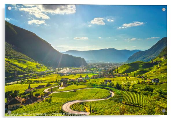 Vineyards view in Bolzano. Sudtirol, Italy Acrylic by Stefano Orazzini