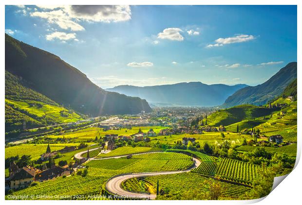 Vineyards view in Bolzano. Sudtirol, Italy Print by Stefano Orazzini