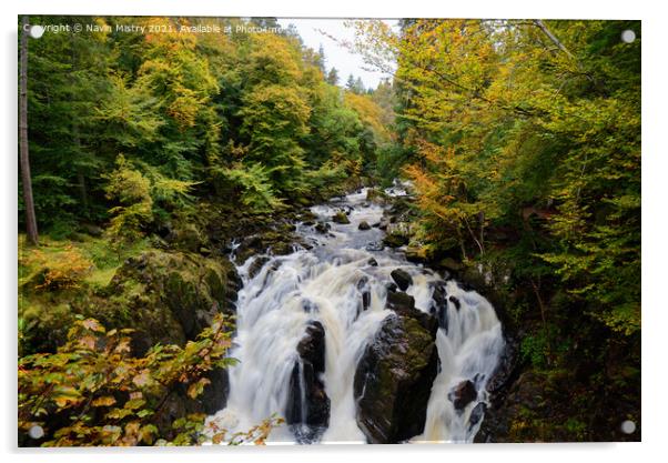 Autumn and Black Linn Falls at The Hermitage  Acrylic by Navin Mistry