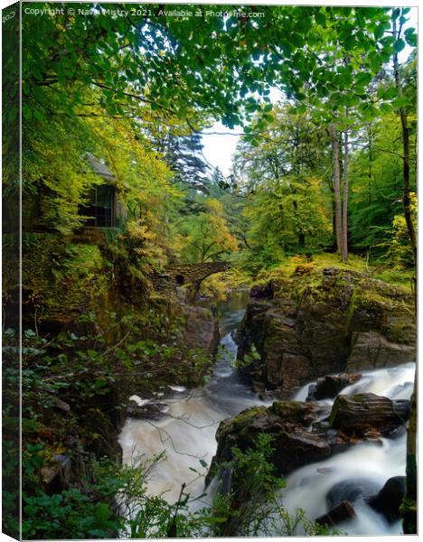Autumn and Black Linn Falls at The Hermitage  Canvas Print by Navin Mistry