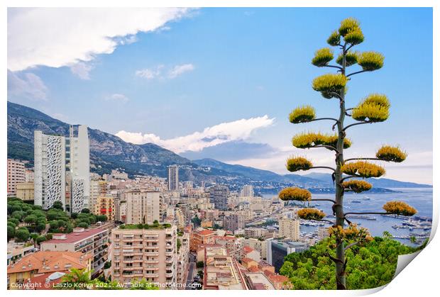 View from the Jardin Exotique - Monaco Print by Laszlo Konya