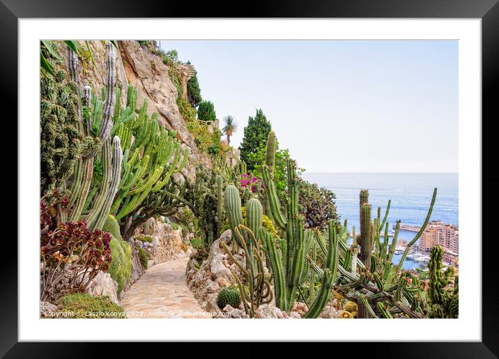 Cacti and other succulents - Monaco Framed Mounted Print by Laszlo Konya