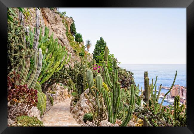 Cacti and other succulents - Monaco Framed Print by Laszlo Konya